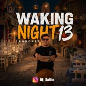 دانلود آهنگ دیجی سلیم Waking Night 13